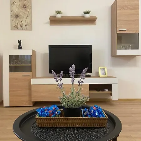 Ana Apartment *